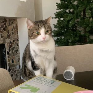 Meet your Posher, Ye